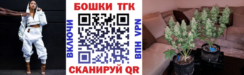  Cocaine Кирсанов