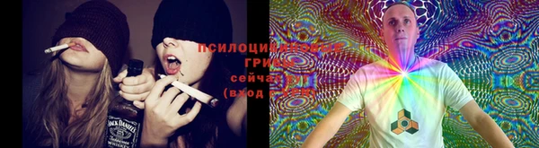 трава Алексеевка
