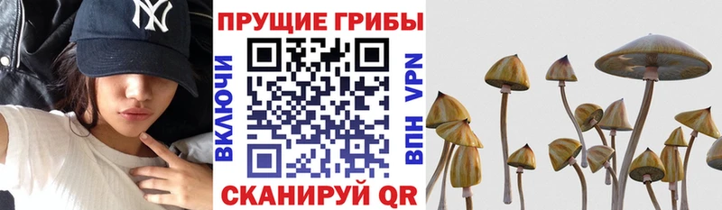 Псилоцибиновые грибы мухоморы  MEGA ONION  Кирсанов 